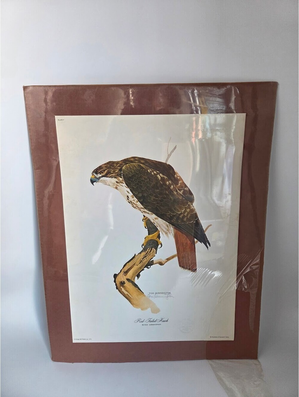 Tom Dunnington Red-Tailed Hawk 1972 Cottage Hill Wildlife Art Signed Print